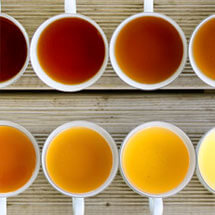 Comprendre les différentes couleurs du thé