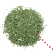 Fines herbes