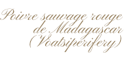 Poivre sauvage rouge de Madagascar (Voatsiperifery)